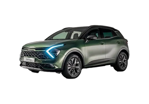 국내차량 이름 1